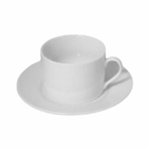T 13-209 220CC CUP & SAUCER