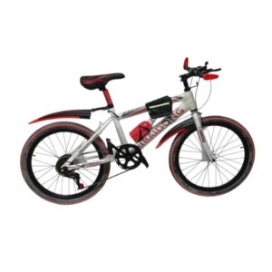 B 22 SD91V 22" MOUNTAIN BIKE SD91V
